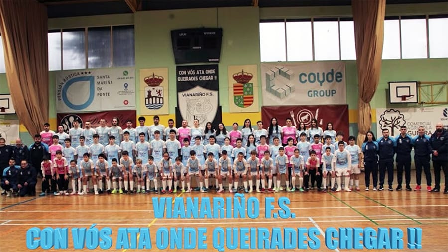 A.D.I. VIANARIÑO FUTBOL SALA
